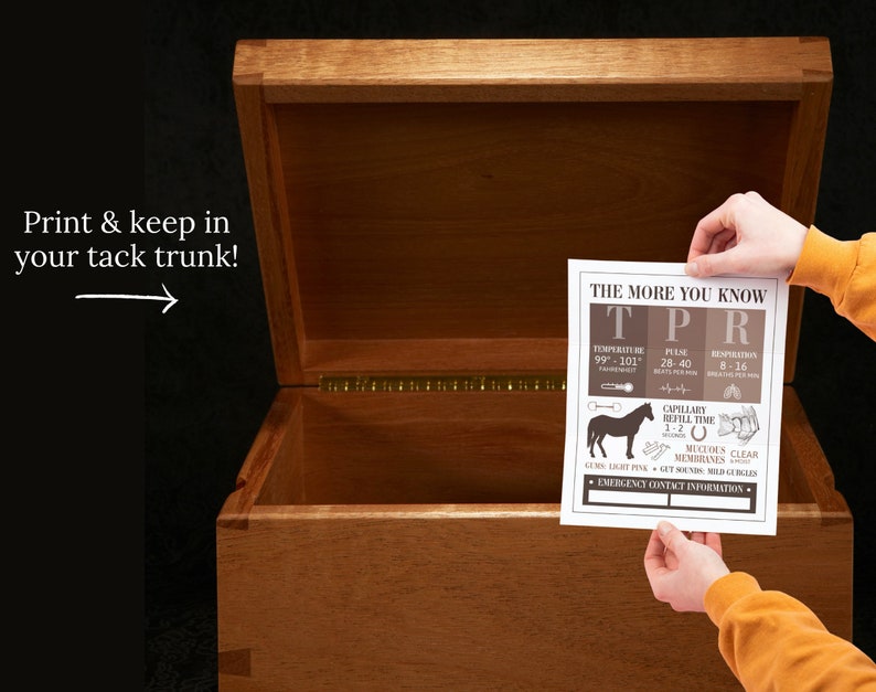 Horse Vital Signs Poster Barn Emergency Contact Info Sign Etsy