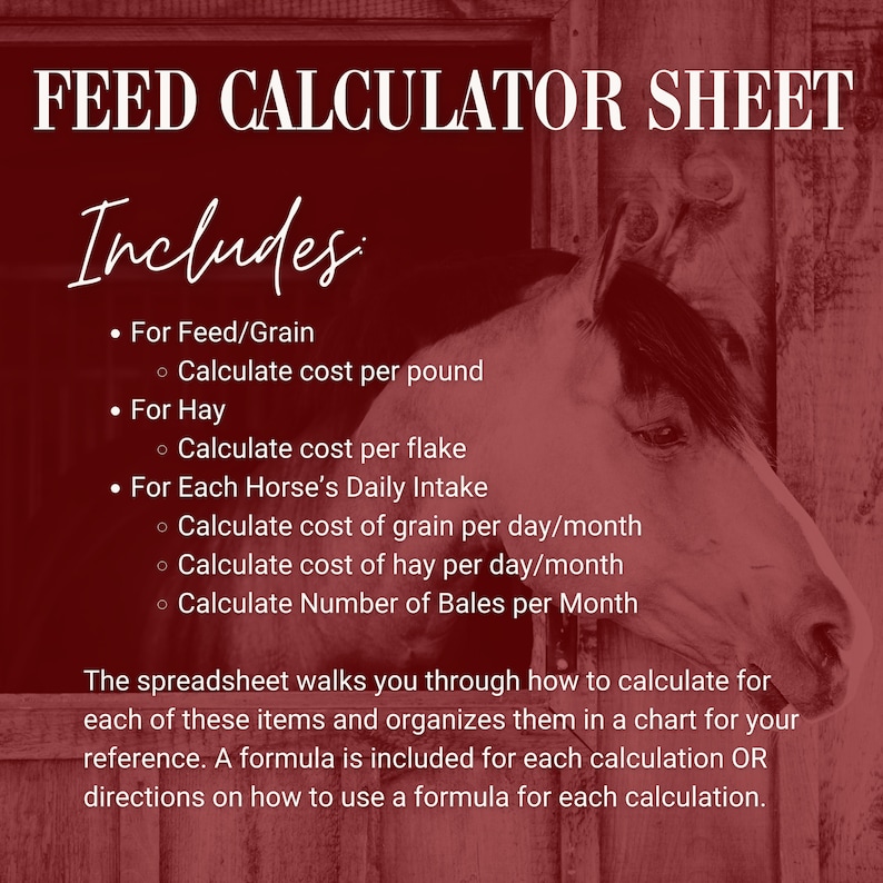 Horse Farm Management Spreadsheet Barn or Stable Organization Equine