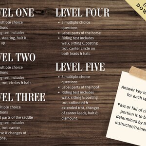 Riding Assessment | Horseback Riding Lessons | Horse Camp | Horseback ...