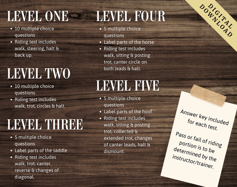 Riding Assessment | Horseback Riding Lessons | Horse Camp | Horseback ...