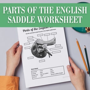Parts of the English Saddle Horse Camp Worksheet Activity | Horseback Riding Lesson Plan | Equestrian Labeling Game Homeschool Printable PDF