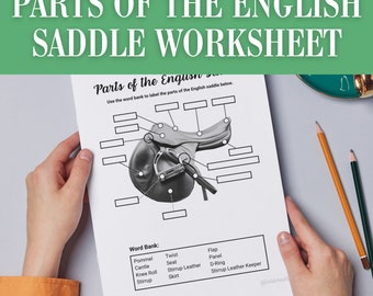 Partes de la actividad de la hoja de trabajo del campamento de caballos de silla en inglés / Plan de lección de equitación / Juego de etiquetado ecuestre Educación en el hogar PDF imprimible