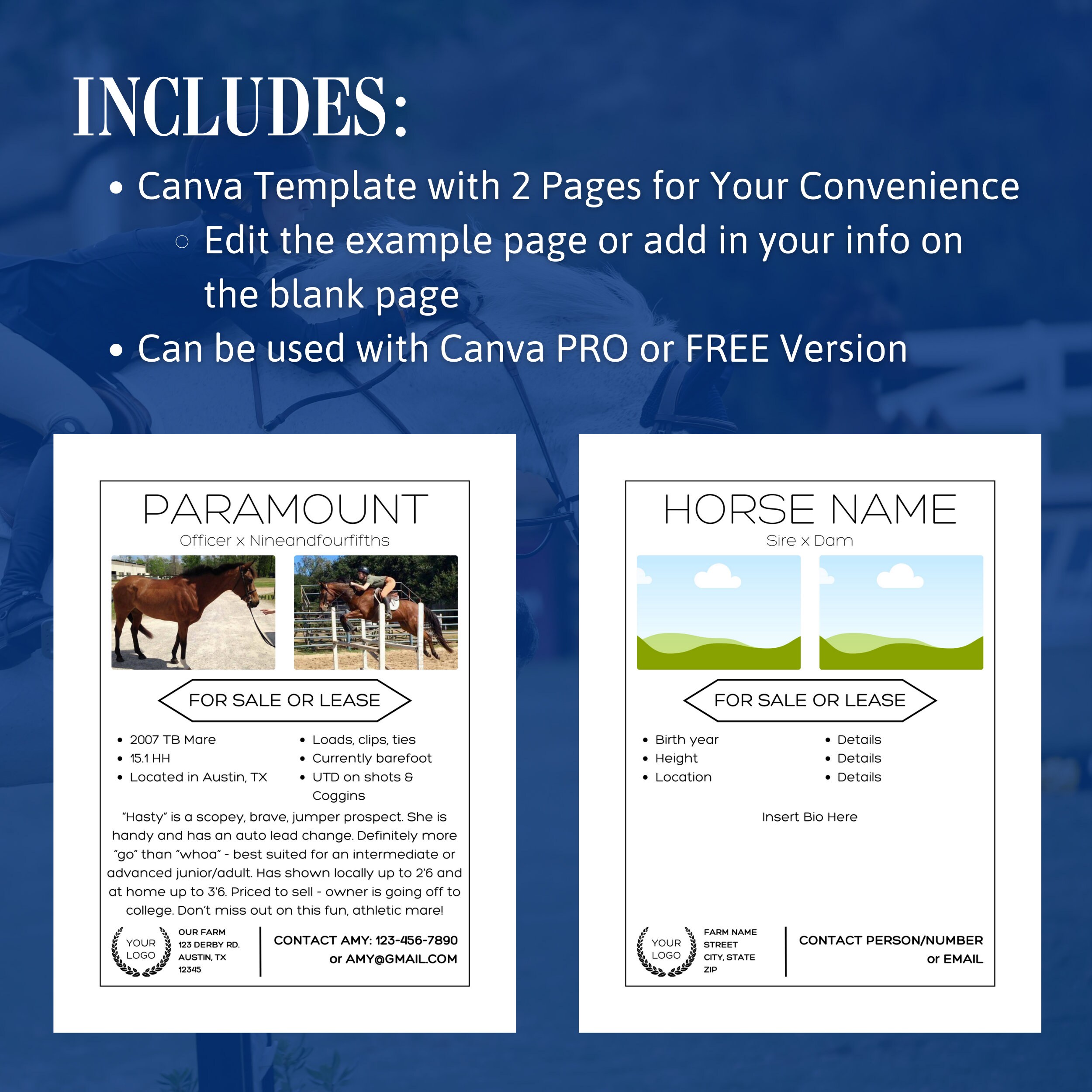 Horse for Sale Flyer Horse Canva Template Horse Sale Flyer Template
