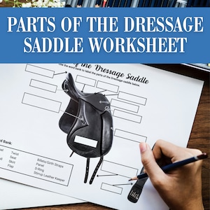 Parts of the Dressage Saddle Horse Camp Worksheet Activity | Horseback Riding Lesson Plan | Equestrian Labeling Game Homeschool Printable