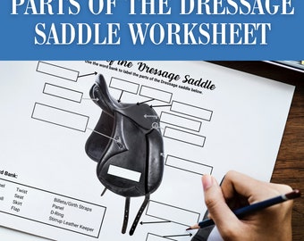 Dressage Saddle Parts Worksheet | Horse Camp Activity (PDF)