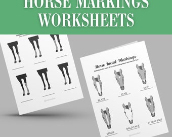 Label Pferd Markierungen Camp Aktivität Arbeitsblatt Printable | Pferde Homeschool Lernen Pferdesport Reitstunden | Pferd Pony Spiel