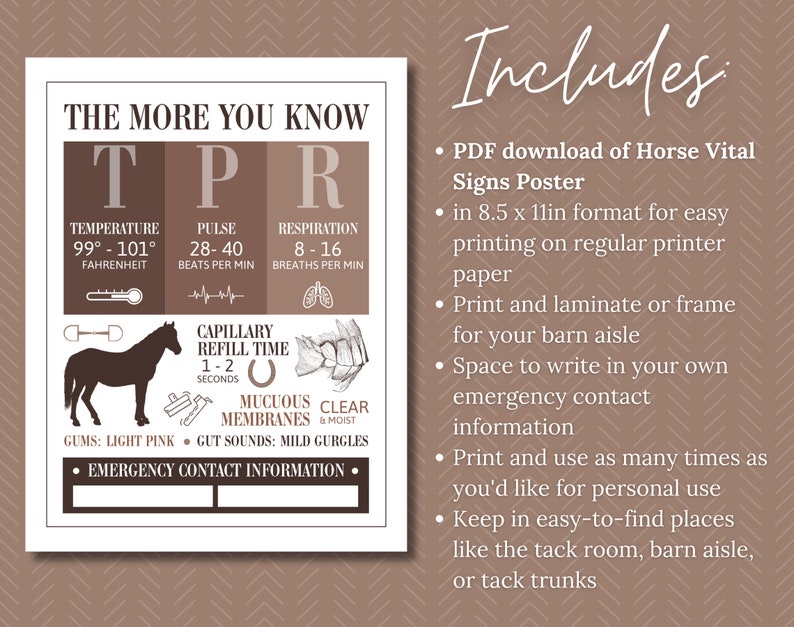 Horse Vital Signs Poster Barn Emergency Contact Info Sign Etsy