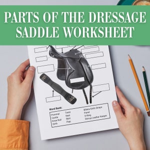 Parts of the Dressage Saddle Horse Camp Worksheet Activity | Horseback Riding Lesson Plan | Equestrian Labeling Game Homeschool Printable