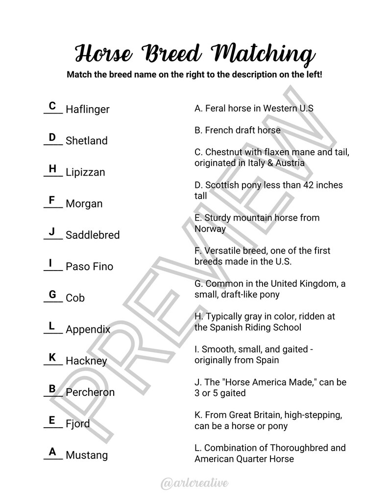 Horse Breed Matching Worksheet (Download Now) Etsy