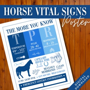 Poster van de vitale functies van het paard | Schuur noodcontactinformatiebord | Referentieblad veterinaire feiten over paarden | Dierenarts paard print | Paarden TPR