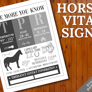 Poster van de vitale functies van het paard | Schuur noodcontactinformatiebord | Referentieblad veterinaire feiten over paarden | Dierenarts paard print | Paarden TPR