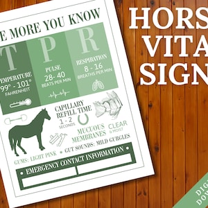 Poster van de vitale functies van het paard | Schuur noodcontactinformatiebord | Referentieblad veterinaire feiten over paarden | Dierenarts paard print | Paarden TPR