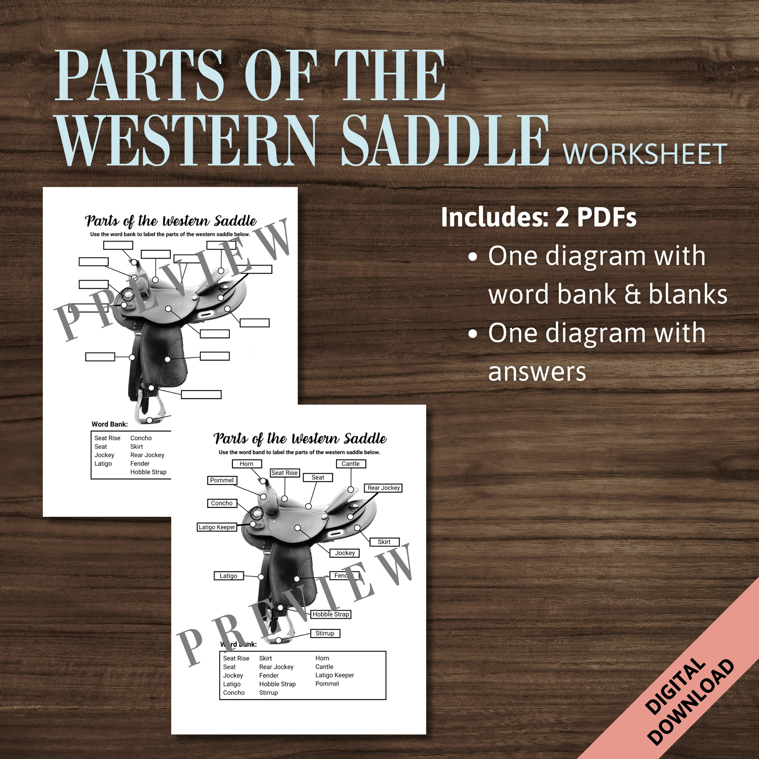 Parts of the Horses Western Saddle | Horse Tack Equipment Label ...