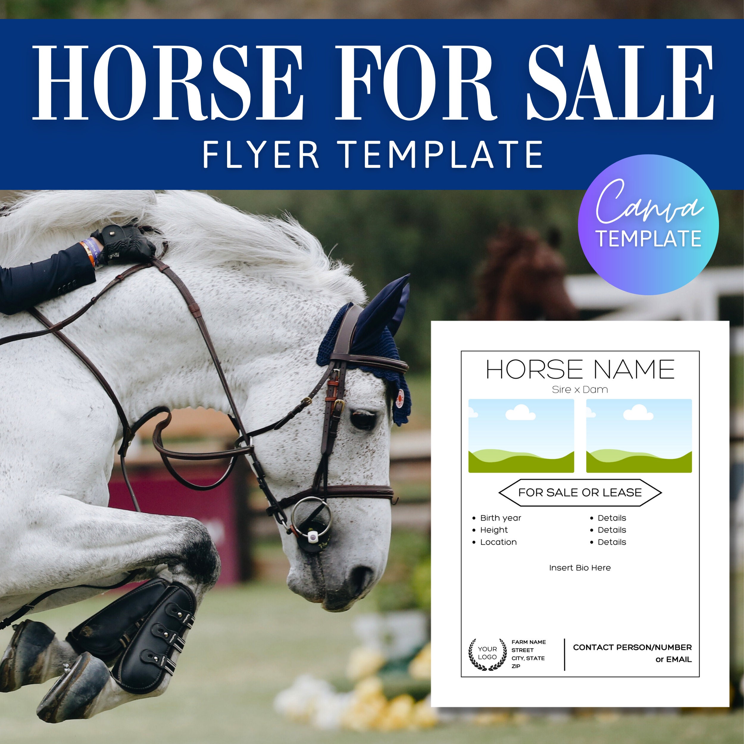 Horse for Sale Flyer Horse Canva Template Horse Sale Flyer Template