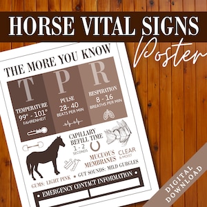 Poster van de vitale functies van het paard | Schuur noodcontactinformatiebord | Referentieblad veterinaire feiten over paarden | Dierenarts paard print | Paarden TPR