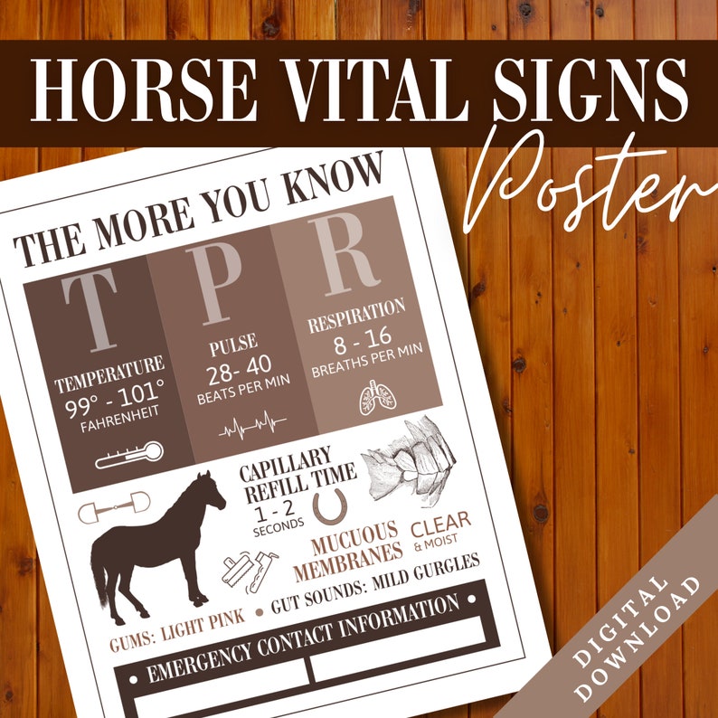 Horse Vital Signs Poster Barn Emergency Contact Info Sign Equine