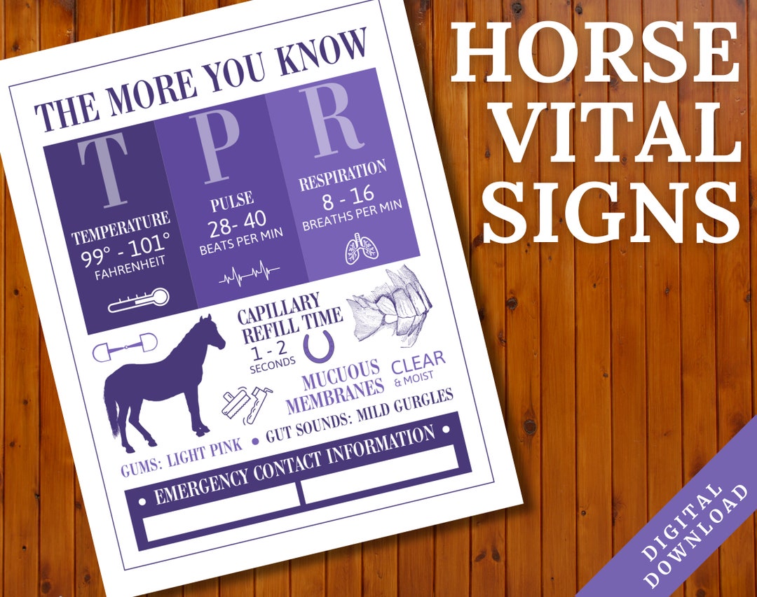 Horse Vital Signs Poster Equine TPR Barn Emergency Contact Etsy