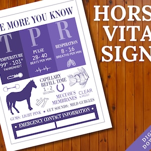 Poster van de vitale functies van het paard | Schuur noodcontactinformatiebord | Referentieblad veterinaire feiten over paarden | Dierenarts paard print | Paarden TPR