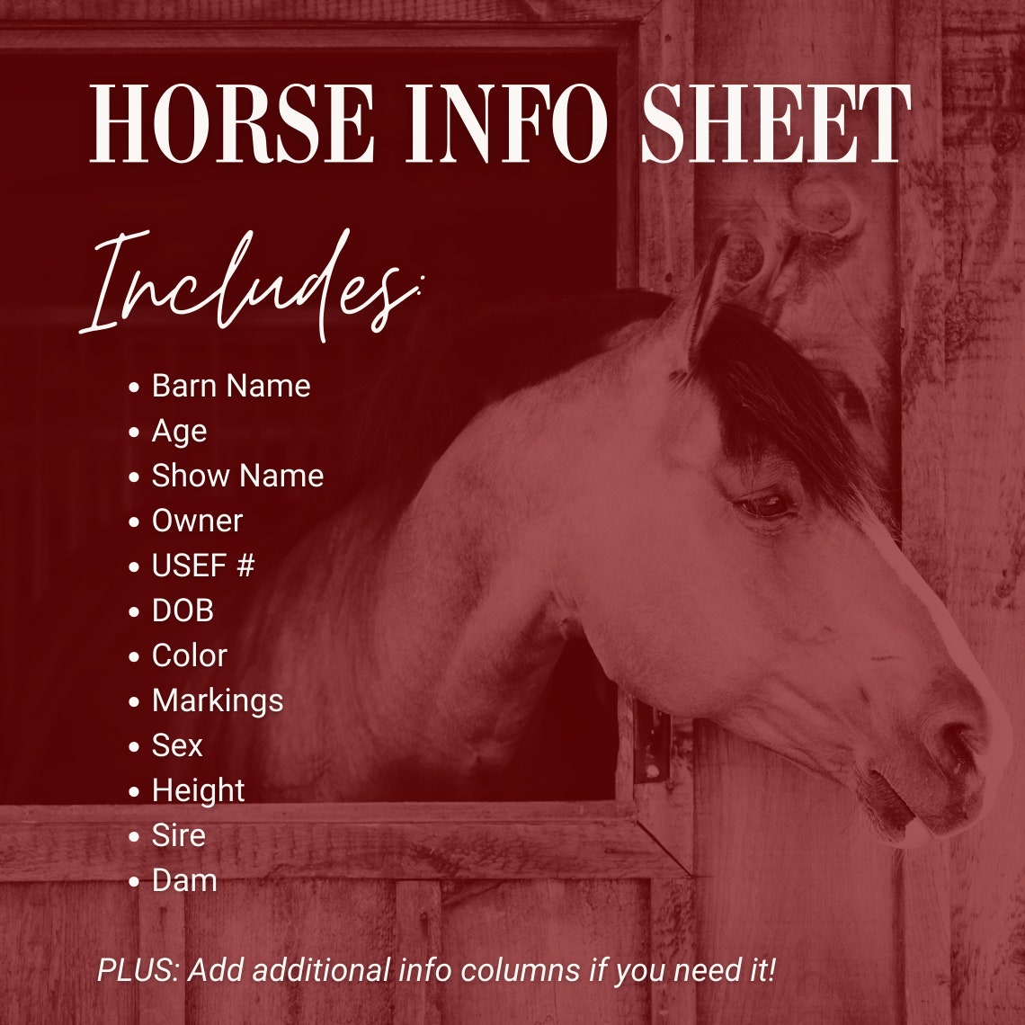 Horse Farm Management Spreadsheet Barn or Stable Organization Equine