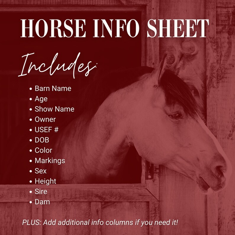 Horse Farm Management Spreadsheet Barn or Stable Organization Equine
