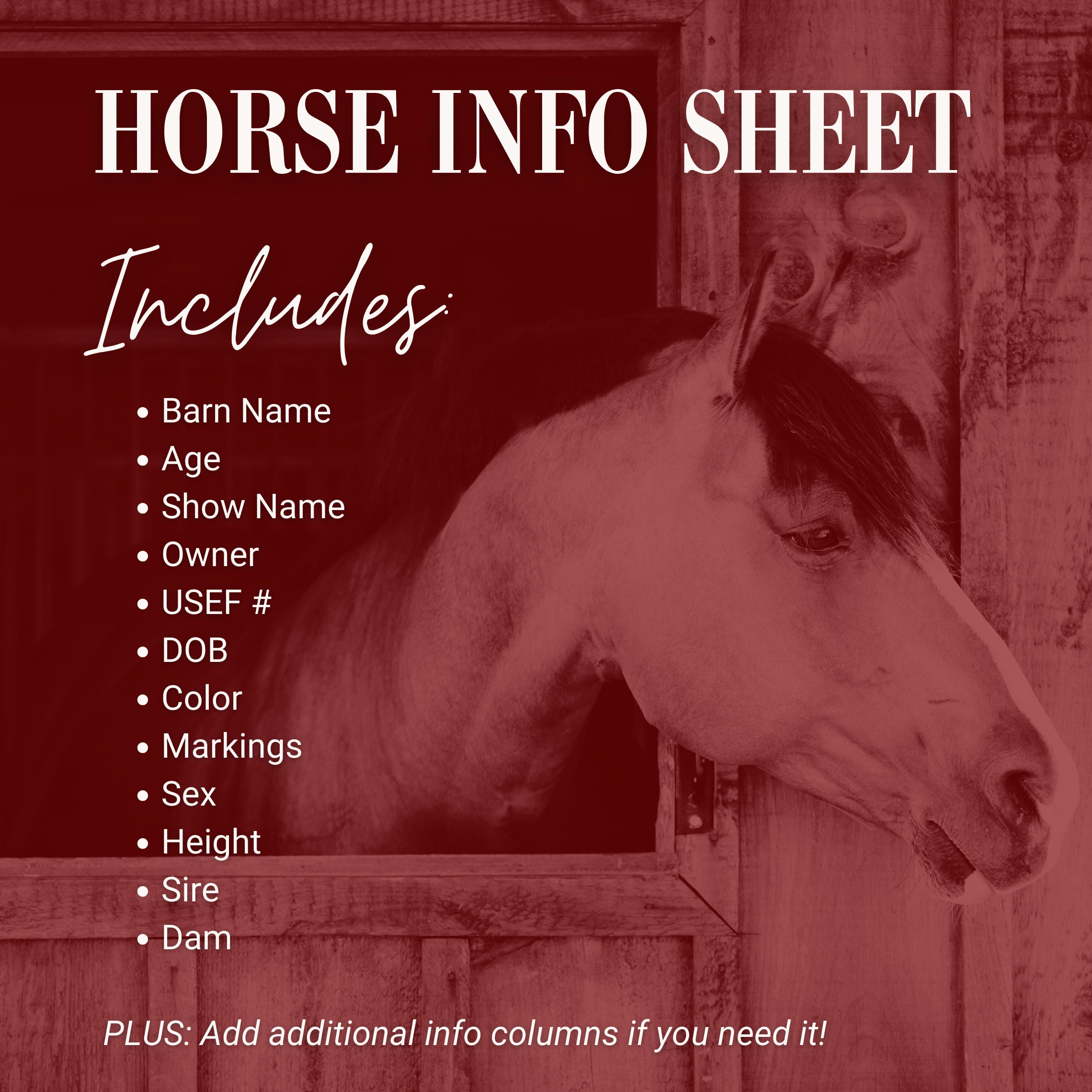 Horse Farm Management Spreadsheet Barn or Stable Organization Equine