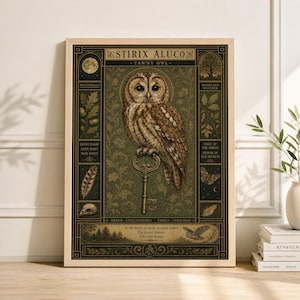 Puede incluir: Un grabado enmarcado con una ilustración detallada de un cárabo común posado sobre una llave. La obra de arte utiliza tonos marrones, verdes y dorados, con elementos botánicos y celestiales. Texto: "STIRIX ALUCO" y "TAWNY OWL".
