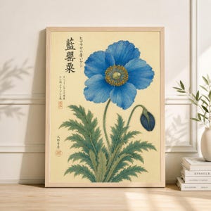 Japanese Poppy - Etsy