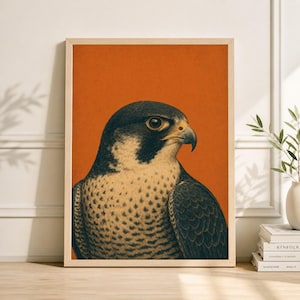 May include: A framed art print featuring a detailed illustration of a falcon. The bird has dark gray and white feathers, a yellow beak, and a piercing gaze. The background is a solid orange color, and the frame is a light wood color.