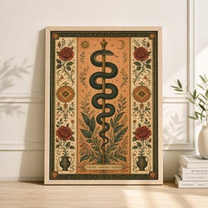 May include: A framed art print with a central staff entwined by a dark green snake. The artwork has a warm colour palette with a peach background, red roses, and decorative borders. The text "VIRTUS SANITAS NATURA" is at the bottom.