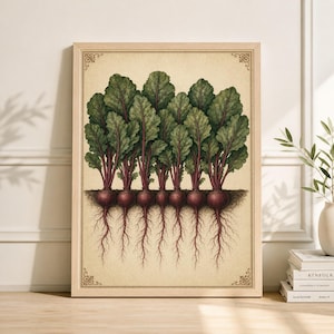 Könnte beinhalten: Ein gerahmter botanischer Druck mit einer Ansammlung von Rüben mit grünen Blättern und roten Stielen. Die Rüben sind mit ihren nach unten verlaufenden Wurzeln dargestellt. Das Kunstwerk hat einen Vintage-Stil mit hellbeigem Hintergrund und dekorativen Eckelementen.