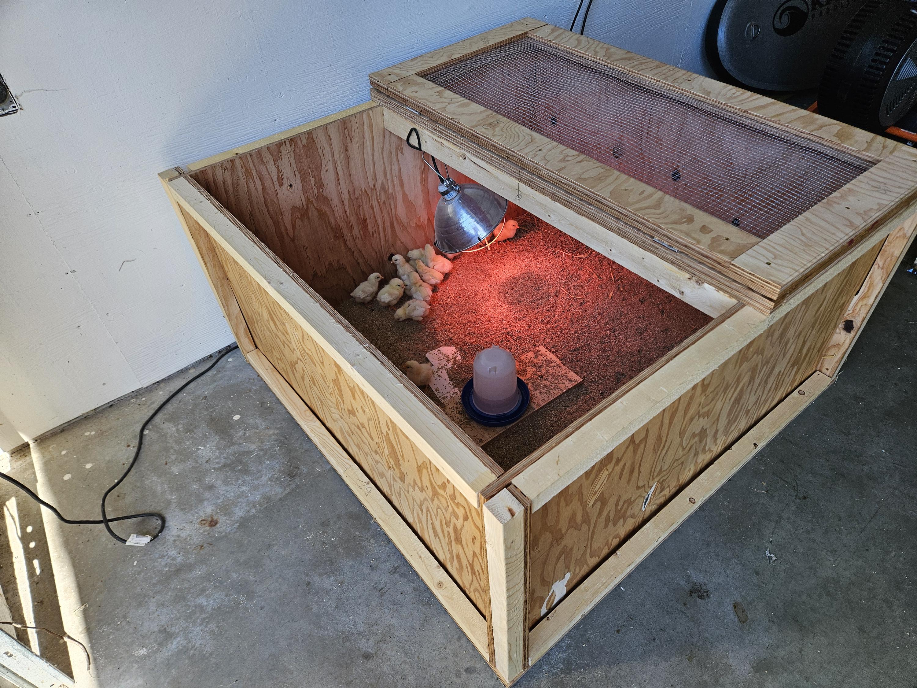 Storable Baby Chick Brooder Box Build Plans – Digital Download ...