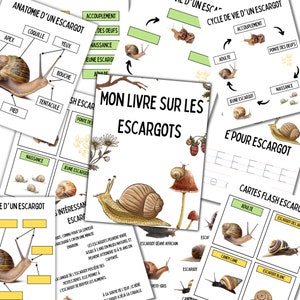 Edukacyjny plik PDF „Ślimak” – cykl życia, anatomia i karty do wycinania | Montessori Nature Activity for Children