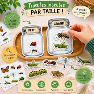 Insect Sorting Game by Size | Preschool & Kindergarten Math Activity | Large or Small | Printable Montessori PDF