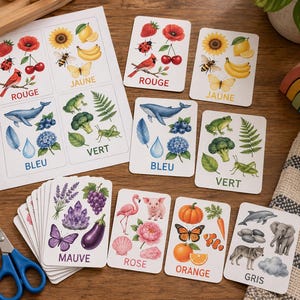 Peut inclure: Un ensemble de cartes éducatives classées par couleur avec des illustrations d'animaux, de plantes et d'objets, accompagnées des étiquettes ROUGE, JAUNE, BLEU, VERT, MAUVE, ROSE, ORANGE et GRIS, incluant une feuille prédécoupée et des ciseaux.