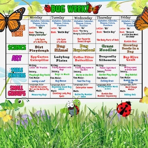 Bug Week Lesson Plan for Preschool & Kindergarten/Insect Themed Activities
