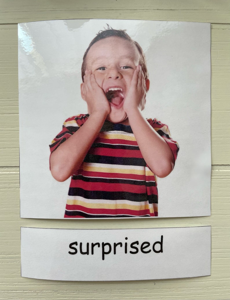 PRINTABLE Emotions Flashcards Real Photos Matching - Etsy