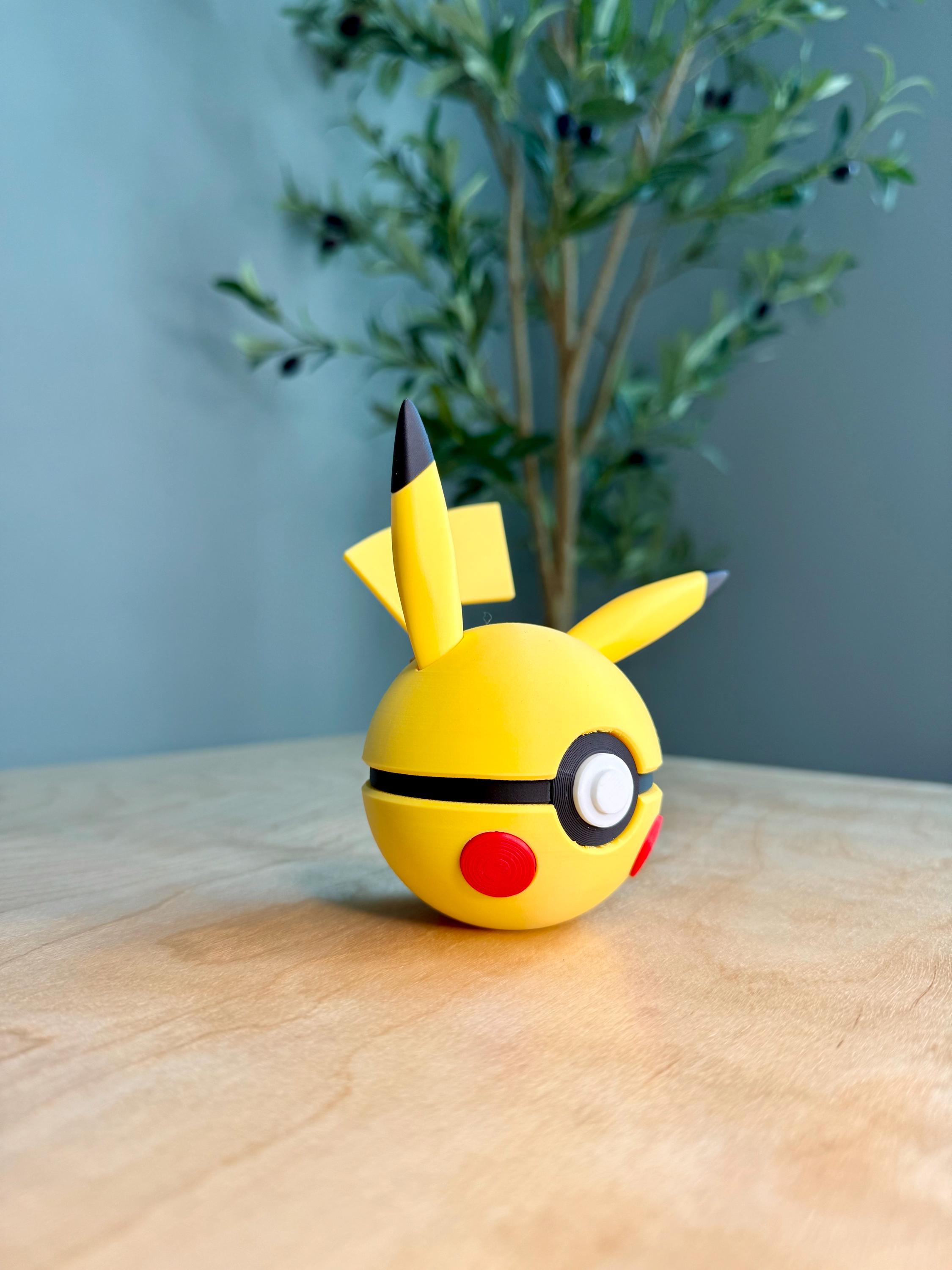Pikachu & Raichu Ball