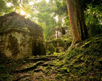 Sunrise at Yaxchilan, Mayan Ruins Site, Instant Dowload