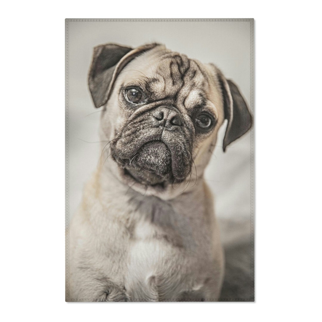 Area Rug Pug Puppy Dog Etsy