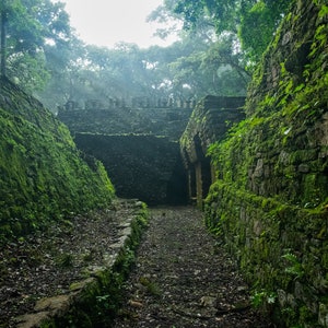 Sunrise at Yaxchilan, Ancient Mayan Ruins, Instant Download
