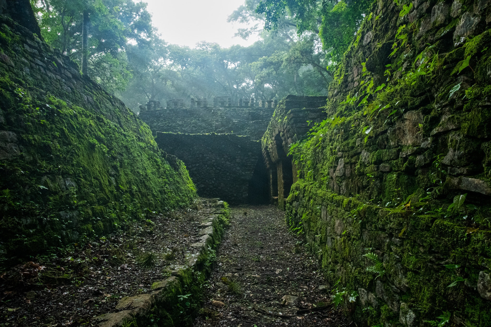 Sunrise at Yaxchilan, Ancient Mayan Ruins, Instant Download