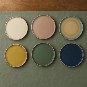 Dinnerware plate Set, Ceramic Dinner Plate: Japanese Sushi Serving Dish, bulk dinnerware supply