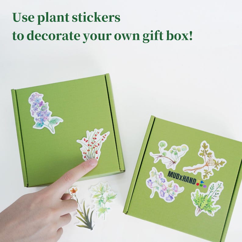 Op de afbeelding: Twee groene geschenkdozen versierd met plantenstickers. De stickers tonen botanische illustraties in paarse, rode en groene tinten. De tekst in de afbeelding luidt: "Gebruik plantenstickers om je eigen cadeauverpakking te versieren!"