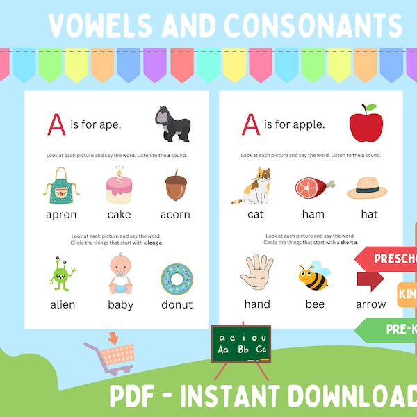 Vowels and Consonants, Learning Vowels, Alphabet, Phonics, Kindergarten, Preschool, Printable, Instant Download, Homeschool Worksheets