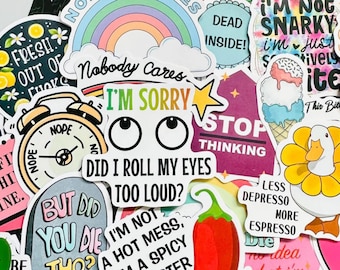 Funny Sarcastic Stickers, Adult Humor Decals, Laptop Work Stickers