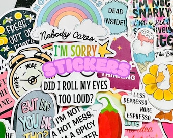 Funny Sarcastic Stickers, Adult Humor Decals, Laptop Work Stickers