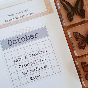 Peut inclure: Un tableau imprimable blanc avec une barre de titre grise qui dit "Octobre". Le tableau a une grille avec les catégories suivantes : Fourmis et termites, Chenilles, Papillons et Papillons de nuit. Le tableau a un fond brun avec le texte "Jouer, apprendre et se connecter à la nature" en haut. Le tableau a également le texte "@playlearnconnectthroughnature" en bas.