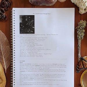 May include: A page from a book about moths and butterflies. The page is white with black text and a black and white illustration of a moth. The text includes the words "Moths are invertebrates (no backbone), that belong to the phylum Arthropod and along with butterflies belong to the order Lepidoptera."