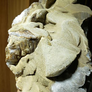 Dog-tooth Calcite