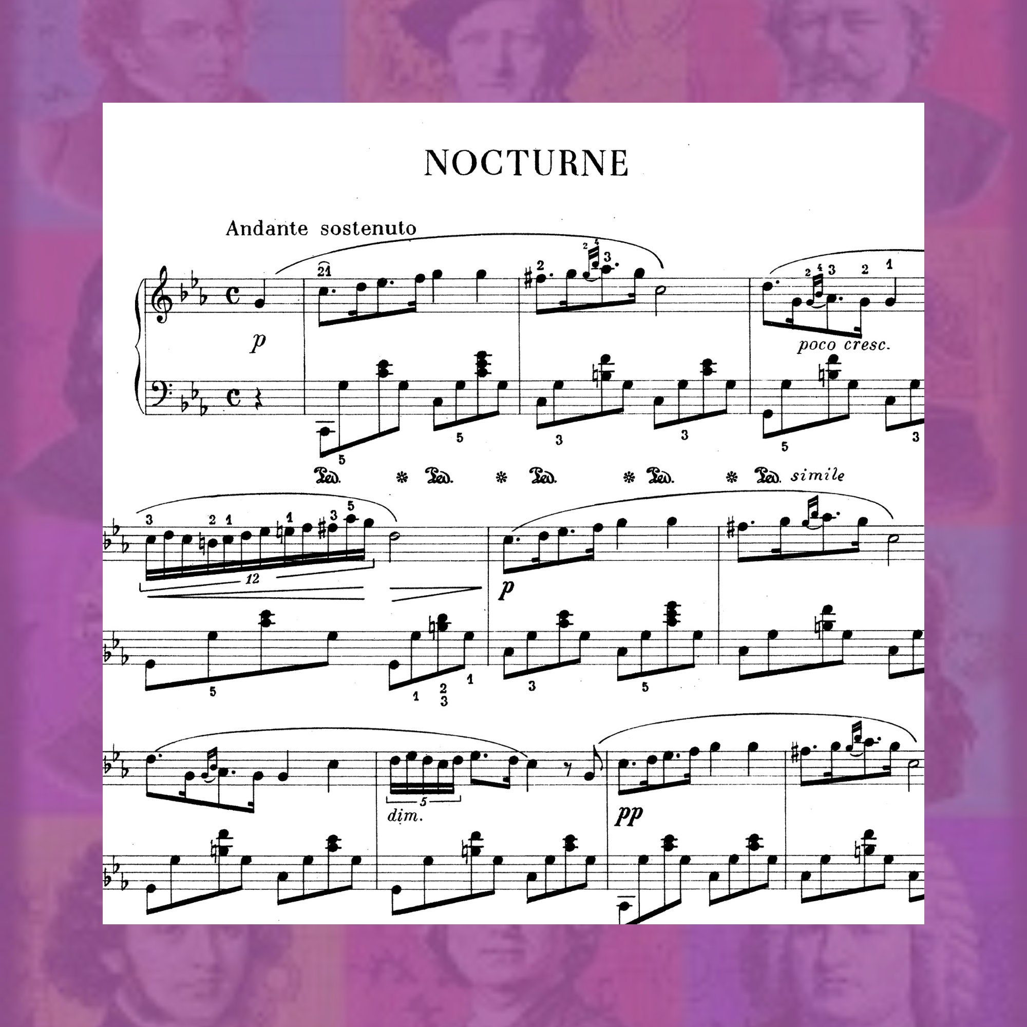 Silhouette Chopin 13CD　未開封品 Chopin: Piano Concerto No. 1 in E Minor, Op. 11 – Ficks Music